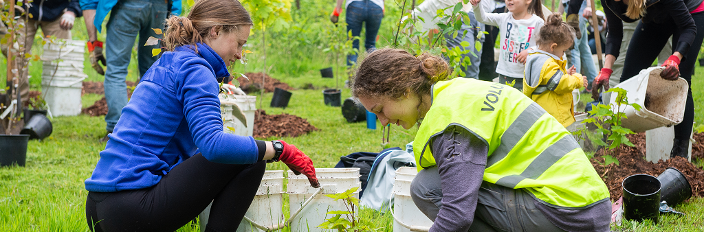 Two people outside, kneeling on the ground as the plant trees.