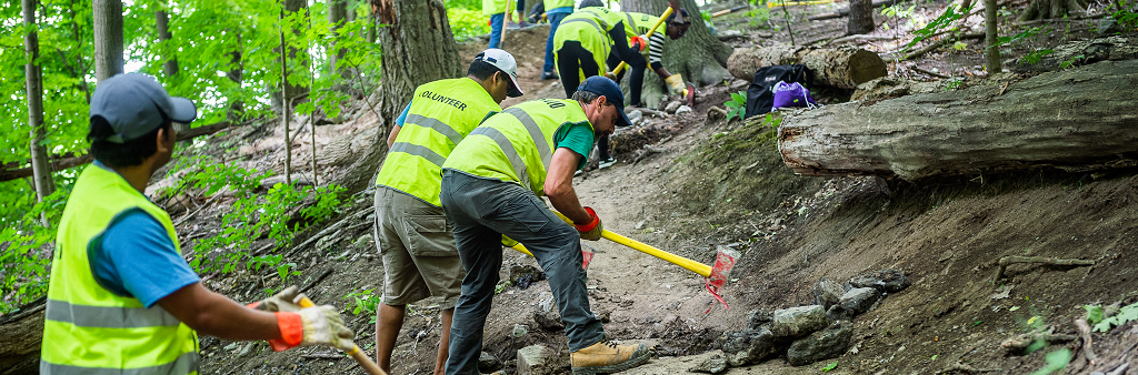 A group of people in a forested area using tools on dirt hills. .