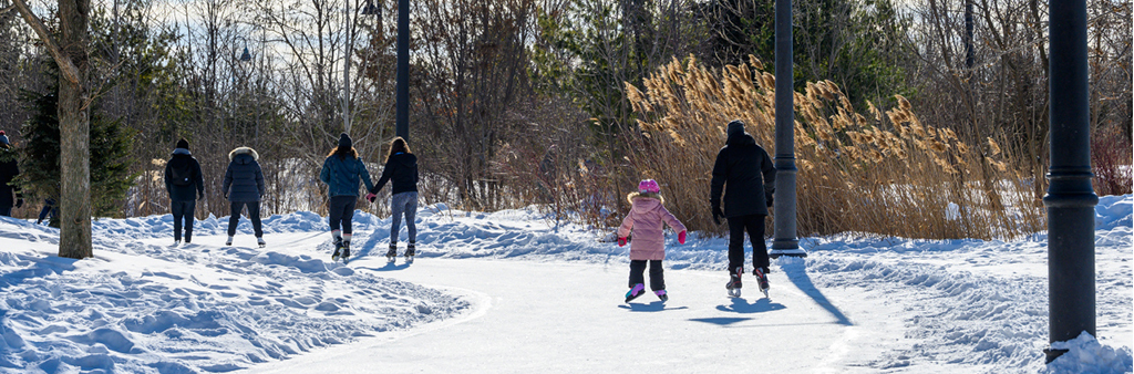 A photograph of people ice skating along a snowy skate trail in winter.