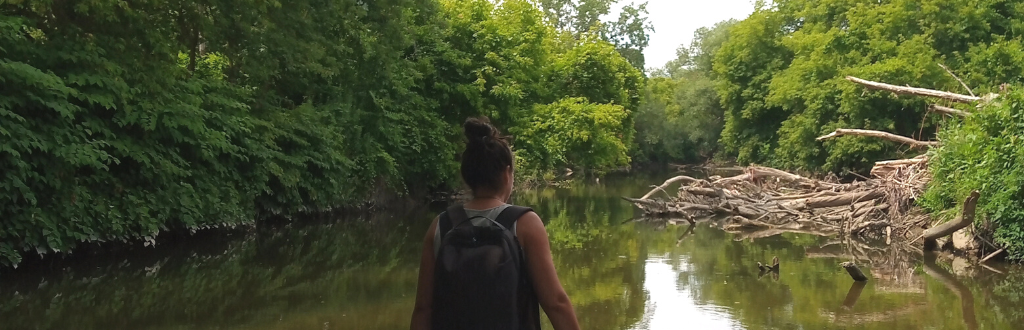 Person wearing backpack has back towards camera looking at fallen tree in river