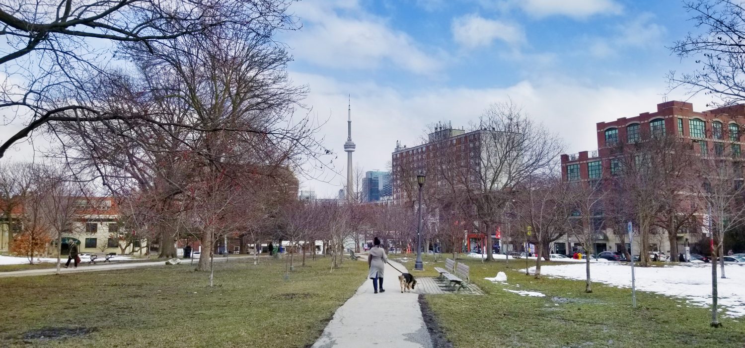 Toronto skyline, walking dog by woman in Trinity Bellwoods park