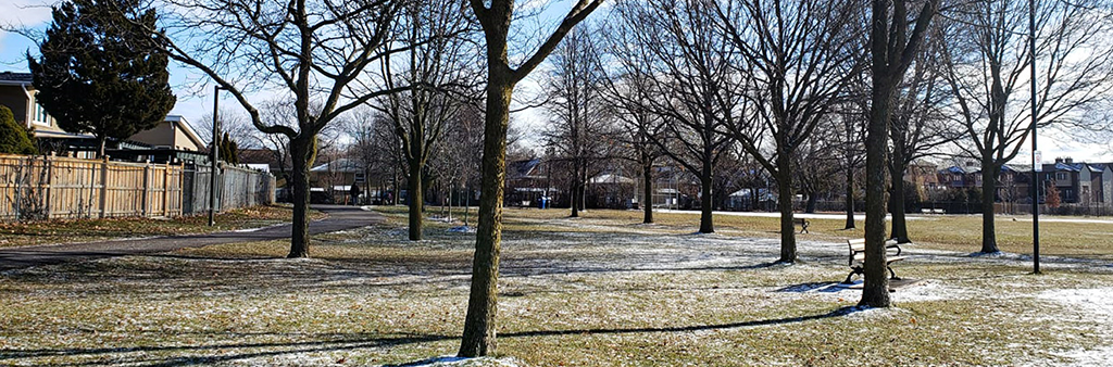 A flat, grassy area with trees scattered throughout.