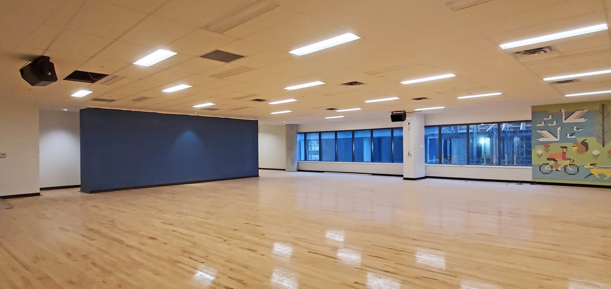 A photo of the indoor multi-purpose room at One Yonge Community Recreation Centre which shows a navy blue feature wall separating the entrance to the room and adjacent hallway, shiny wood floors, two overhead speakers, and a mosaic wall design of animals and a cyclist beside the windows.