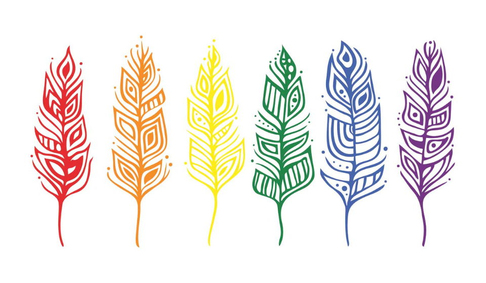 Illustration of six feathers, each a colour of the rainbow from red to violet, left to right