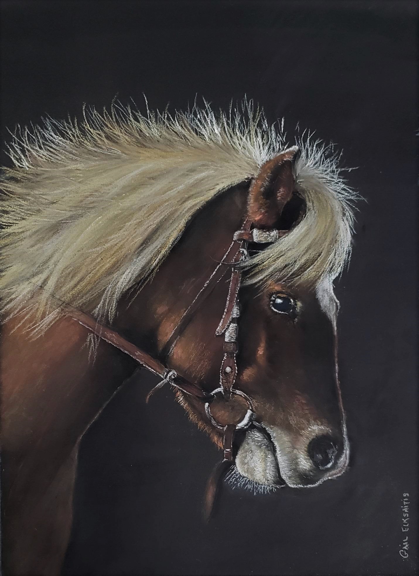 Painted portrait of a pony wearing a bridle against a black background