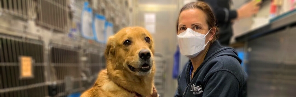 A technician and a dog on the “Spay-Neuter Your Pet” Mobile Clinic