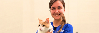 An Animal Services technician holding a cat