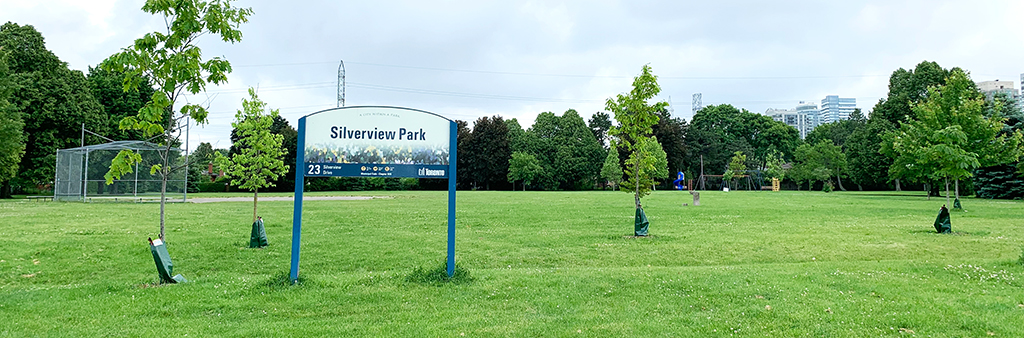 Existing Silverview Park looking south from Silverview Drive. There is an open lawn in the foreground, followed by a baseball diamond to the left, and a playground to the right in the background. The park is surrounded by mature trees along its edges.