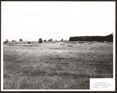 Image depicts undeveloped farmland