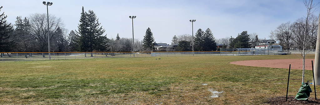 The open field in Elie Wiesel Park which shows a ball diamond on the right and three tall light posts facing the field/ball diamond, separated by a low chain link fence. Mature trees are scattered throughout the background.