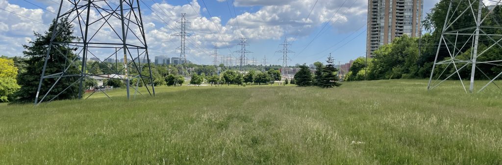 Section of Finch hydro corridor that is in study area