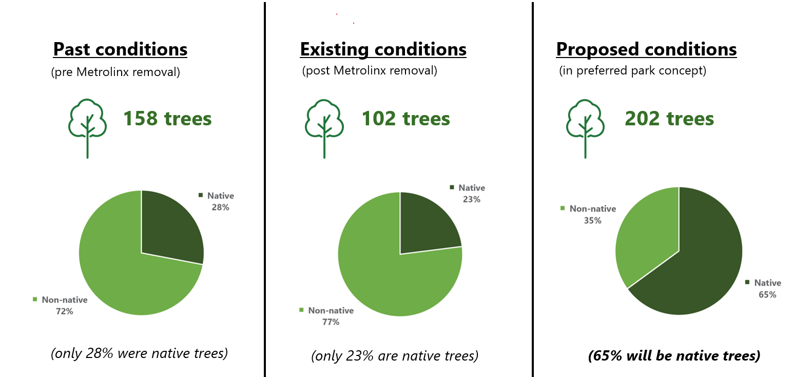 A composite image of three charts. On the left, Past conditions (pre Metrolinx removal) are 158 trees, 28% are native species. In the centre, existing conditions (post Metrolinx removal) are 102 trees, 23% are native species. On the right, the proposed future conditions are 202 trees with 65% native species. 