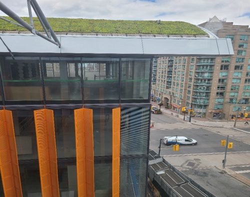 View of vegetated roof on St. Lawrence Market, North Building overlooking street.