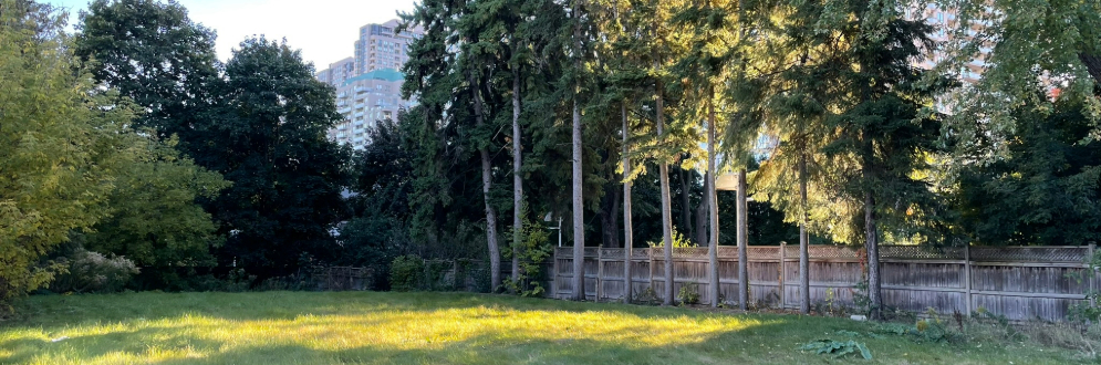 The acquired land area for John McKenzie Parkette’s expansion at 37 Norton Avenue. It is currently an empty lot with a grassy field bordered by a wooden fence and tall trees on one side.