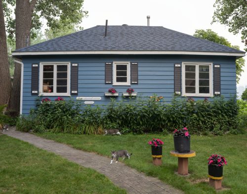 Colour photograph of blue cottage with grass and path in foreground.