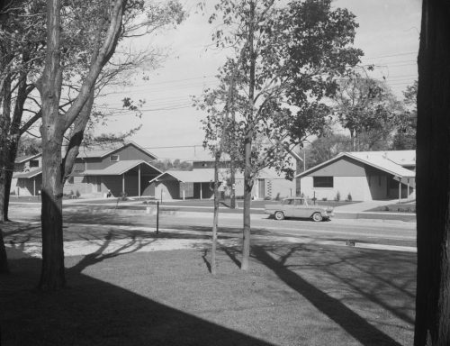 Black and white photo of 3 suburban homes with lawn and trees in foreground.