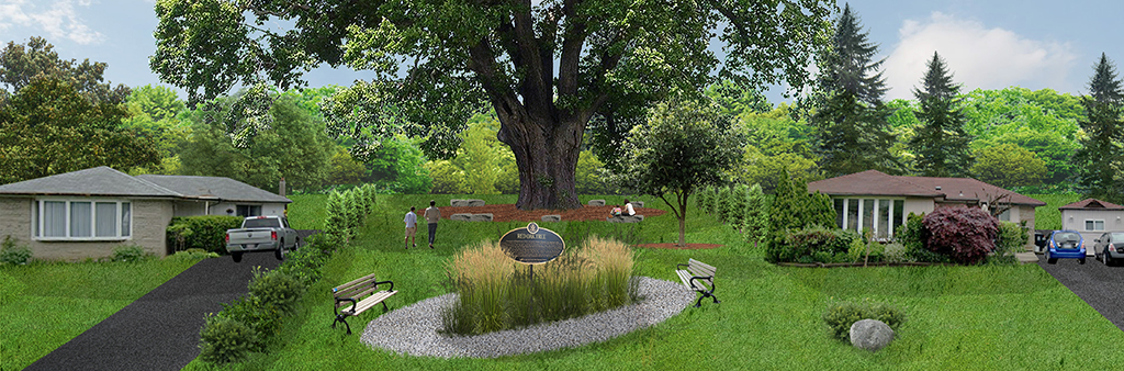 Concept rendering looking north showing the large Heritage Red Oak with memorial plaque and benches in front.
