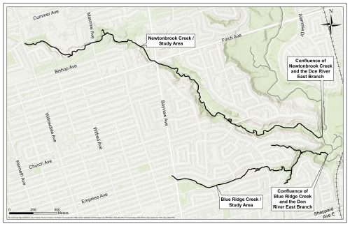 Map of Newtonbrook Creek study area with Cummer Avenue and Willowdale Avenue at the north-west and the Don River and Sheppard Avenue at the south-east.