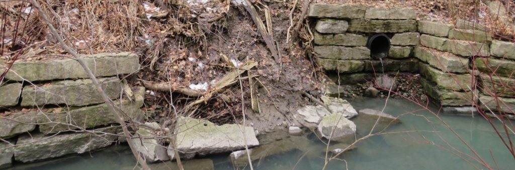 Illustrative image of eroded channel conditions in Newtonbrook Creek