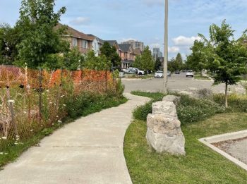 Photo of existing pathway from cul-de-sac of Sam Frustaglio Drive to Denison Road East