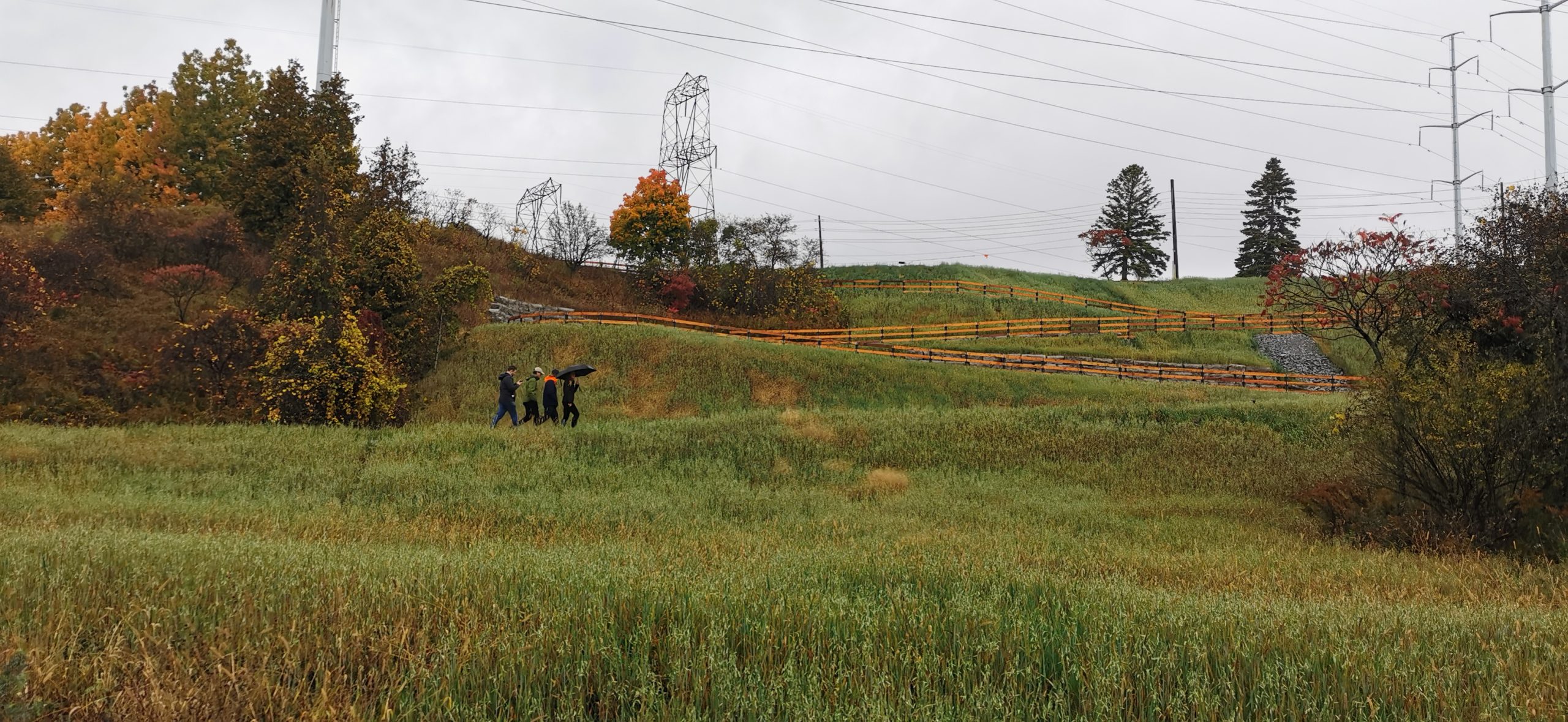 Photo of Highland Creek Trail showing the tall grass in the foreground and the curved trail with food fence in the background. 