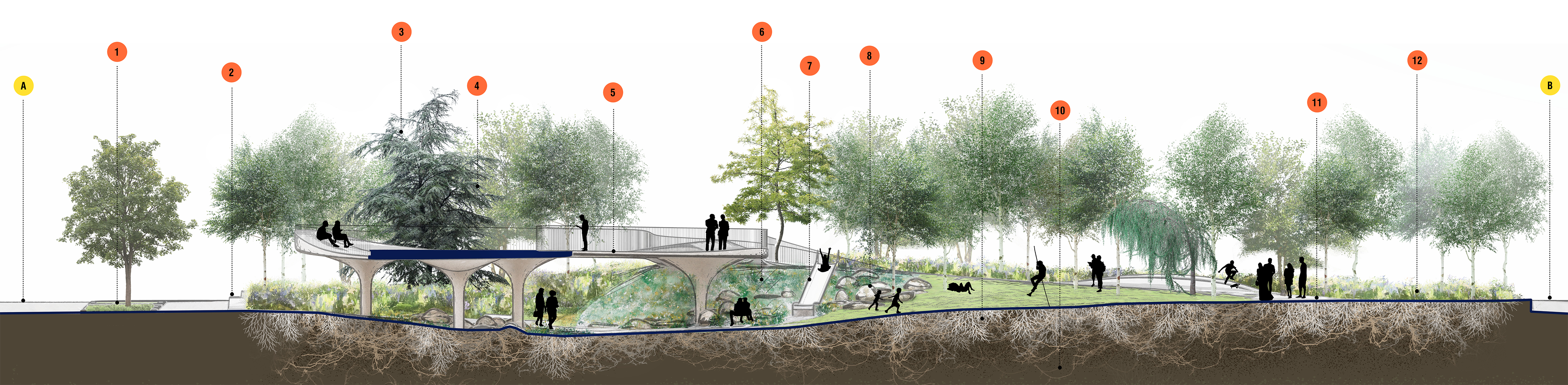 Cut-through section of the park, aligned North-South and looking West. The image shows the soil conditions below the ground and groves of grey and yellow birch trees. The image highlights Wàwàtesí’s sustainability components. From left to right, they are: bioretention planters and green stormwater infrastructure on Nelson street; low walls designed to be used as benches made from reclaimed and repurposed building demolition waste; the firefly habitat, a natural planting area within the groves of trees; groves of grey and yellow birch trees planted when very young to encourage natural forest-like health; the Canvas and Balcony structure made of low-carbon concrete; the rocky fern garden and its biodiversity elements; the Riverbed Playscape’s recycled-steel slide; salvaged boulders from quarry waste; healthy root systems from the groves’ planting techniques; healthy soil with mycelium (mushroom roots) and probiotic activity; concrete pavers made from carbon-negative concrete; and low-maintenance native plants beneath the birch groves. 