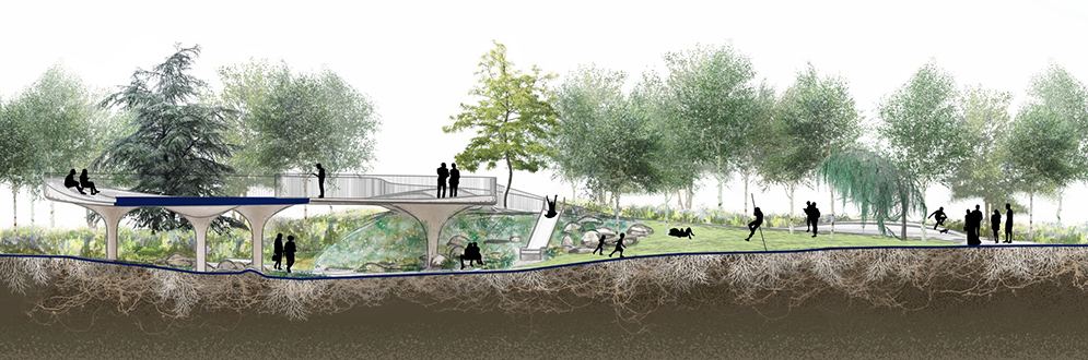 A cut-through section of the park, aligned North-South and looking West. The image shows the soil conditions below the ground and groves of grey and yellow birch trees. The image highlights Wàwàtesí’s sustainability components. From left to right, they are: bioretention planters and green stormwater infrastructure on Nelson street; low walls designed to be used as benches made from reclaimed and repurposed building demolition waste; the firefly habitat, a natural planting area within the groves of trees; groves of grey and yellow birch trees planted when very young to encourage natural forest-like health; the Canvas and Balcony structure made of low-carbon concrete; the rocky fern garden and its biodiversity elements; the Riverbed Playscape’s recycled-steel slide; salvaged boulders from quarry waste; healthy root systems from the groves’ planting techniques; healthy soil with mycelium (mushroom roots) and probiotic activity; concrete pavers made from carbon-negative concrete; and low-maintenance native plants beneath the birch groves.