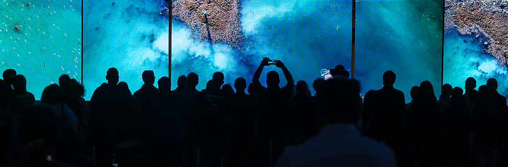 A crowd of people in shadow standing in front of a bright illuminated work of art.
