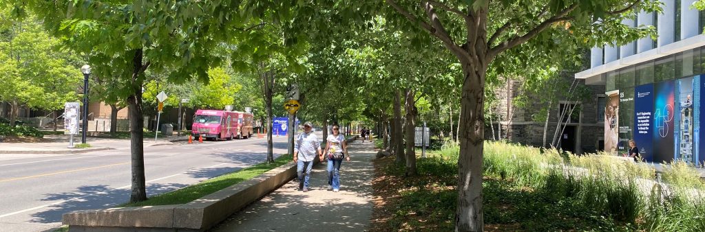 A photo of a streetscape design showing two rows of trees, the roadway, the sidewalk, and planting in the right of way.