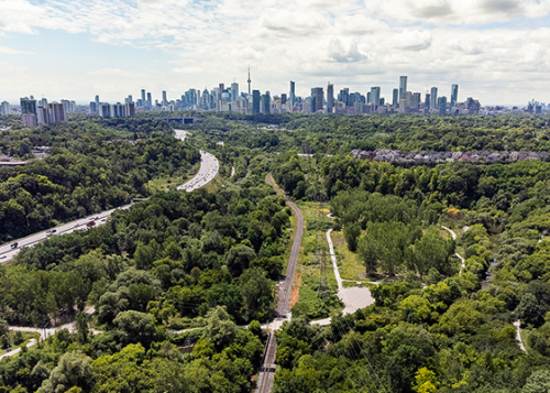 An elevated view of a heavily forested area of Toronto, with the Don Valley Parkway running on the left side and the Toronto city skyline in the distance. Roads and pathways run throughout the forested area, and a set of railway tracks run parallel to the highway.
