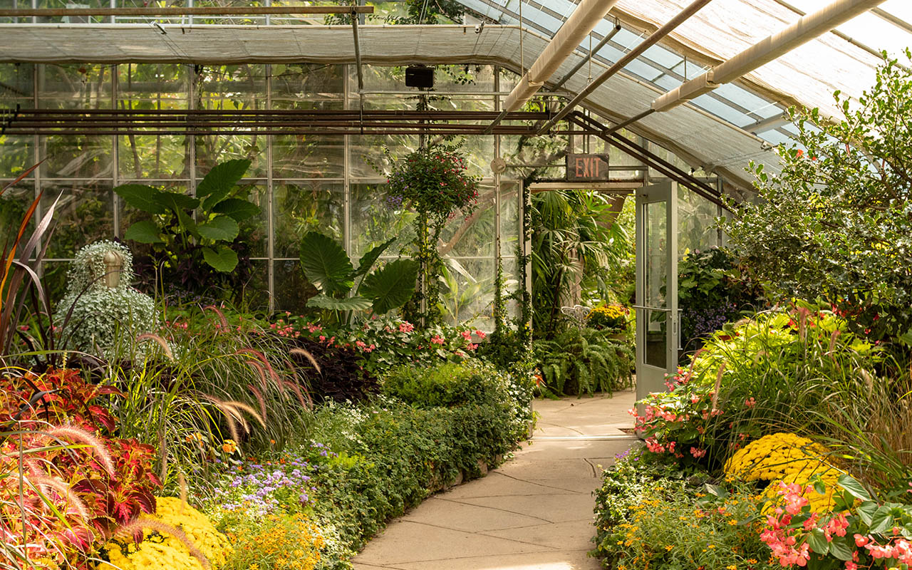 A stone path leading to and through an interior door. Shrubs and short trees of reddish hues line the path.