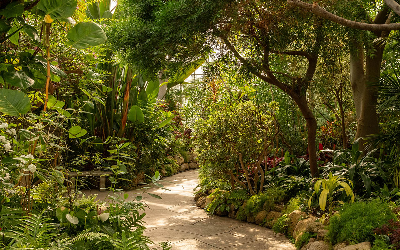 A stone path winds between the heavily planted indoor displays of tropical plants.