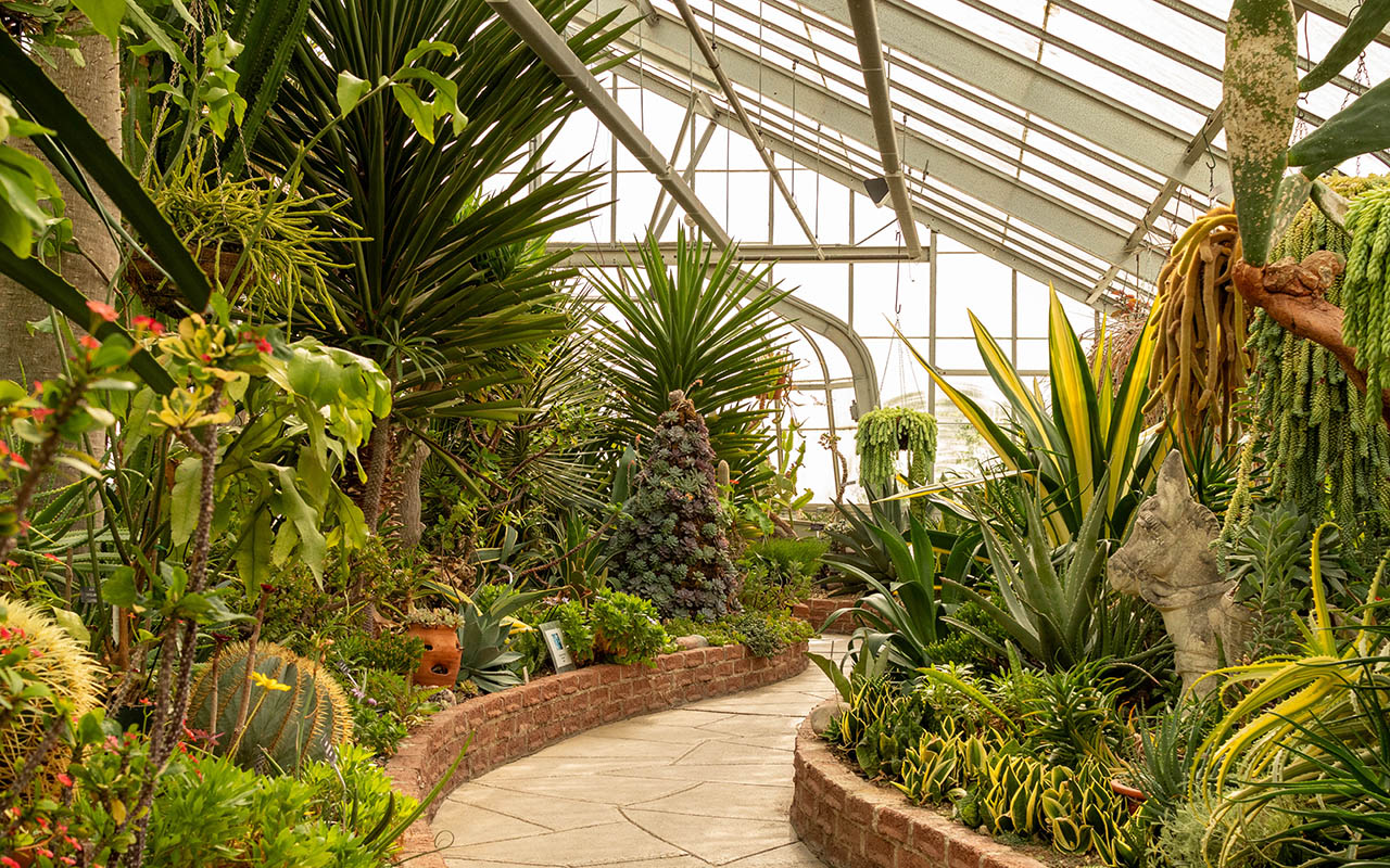 A curved stone pathway with red brick edges. A number of tall and short succulents fill the displays on either side of the path.