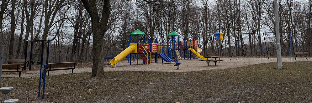 Gwendolen Park showing a play structure with yellow and blue slides and a swing set with mature trees in the background.