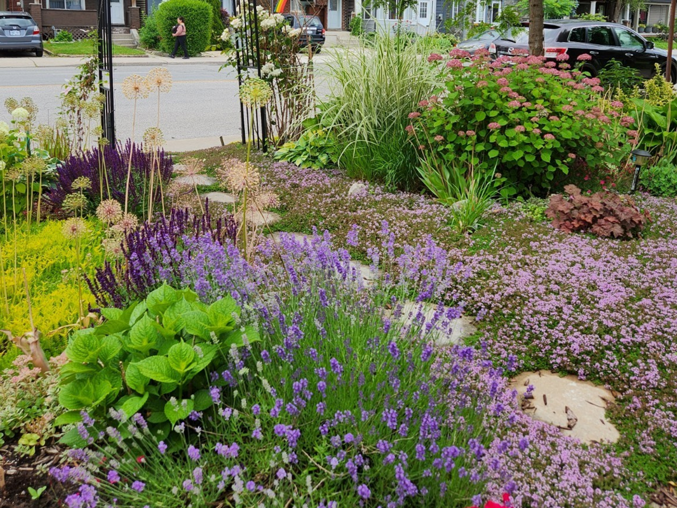 A photo of 2023’s pollinator garden contest winner. The garden has a steeping stone path running through it. The garden itself has mostly purple flowers among greenery.