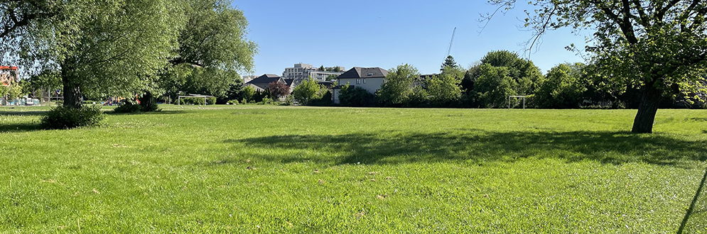 An open law area with grass and trees around the perimeter and residential homes in the background.