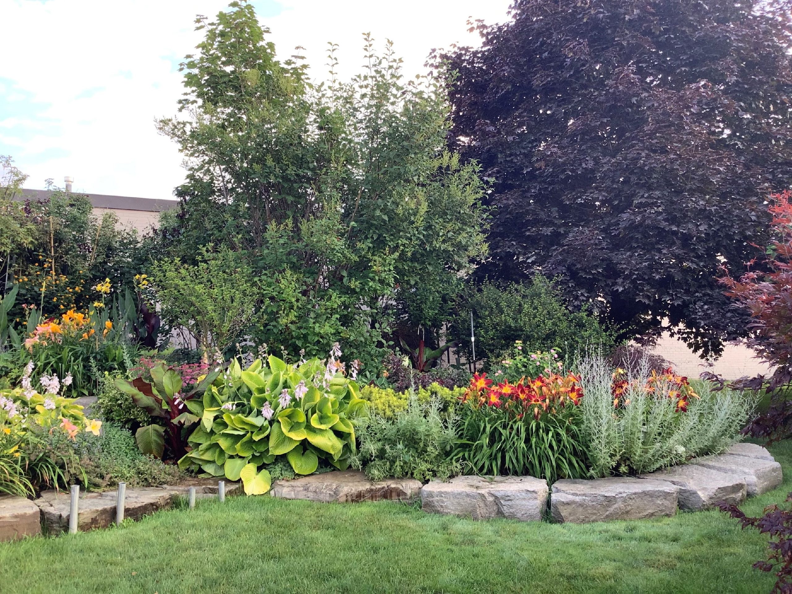 A photo of 2023’s commercial garden contest winner. The garden is filled with green plants with some orange flowers. There are stones on the edge of the garden and trees in the background.