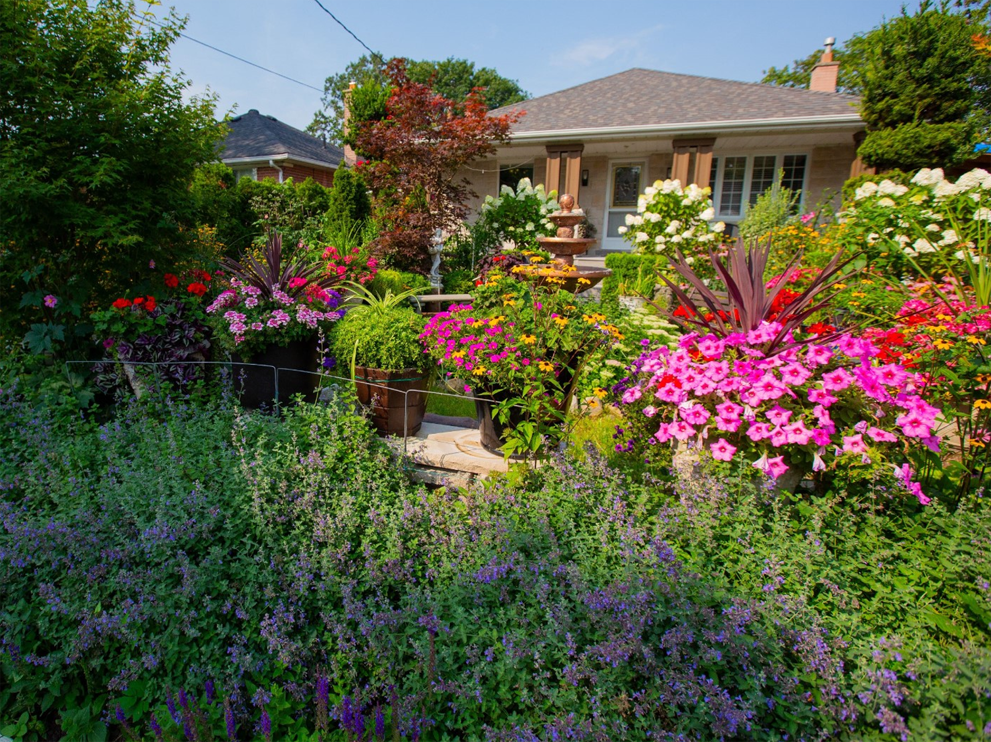 A photo of 2023’s residental traditional garden contest winner. The garden is filled with green plants with pink and orange flowers. There are flowering shrubs, and the house is in the background.