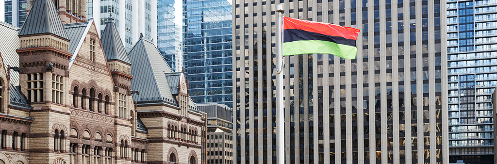 The Black Liberation Flag flying on a sunny day with buildings behind.