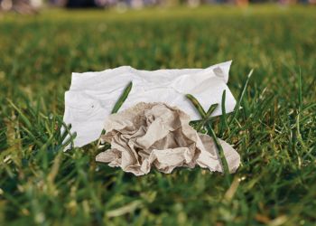 Pieces of tissue on grass.