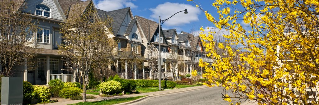 A group of row houses on a street during a sunny day with a yellow-leaved tree in the foreground.