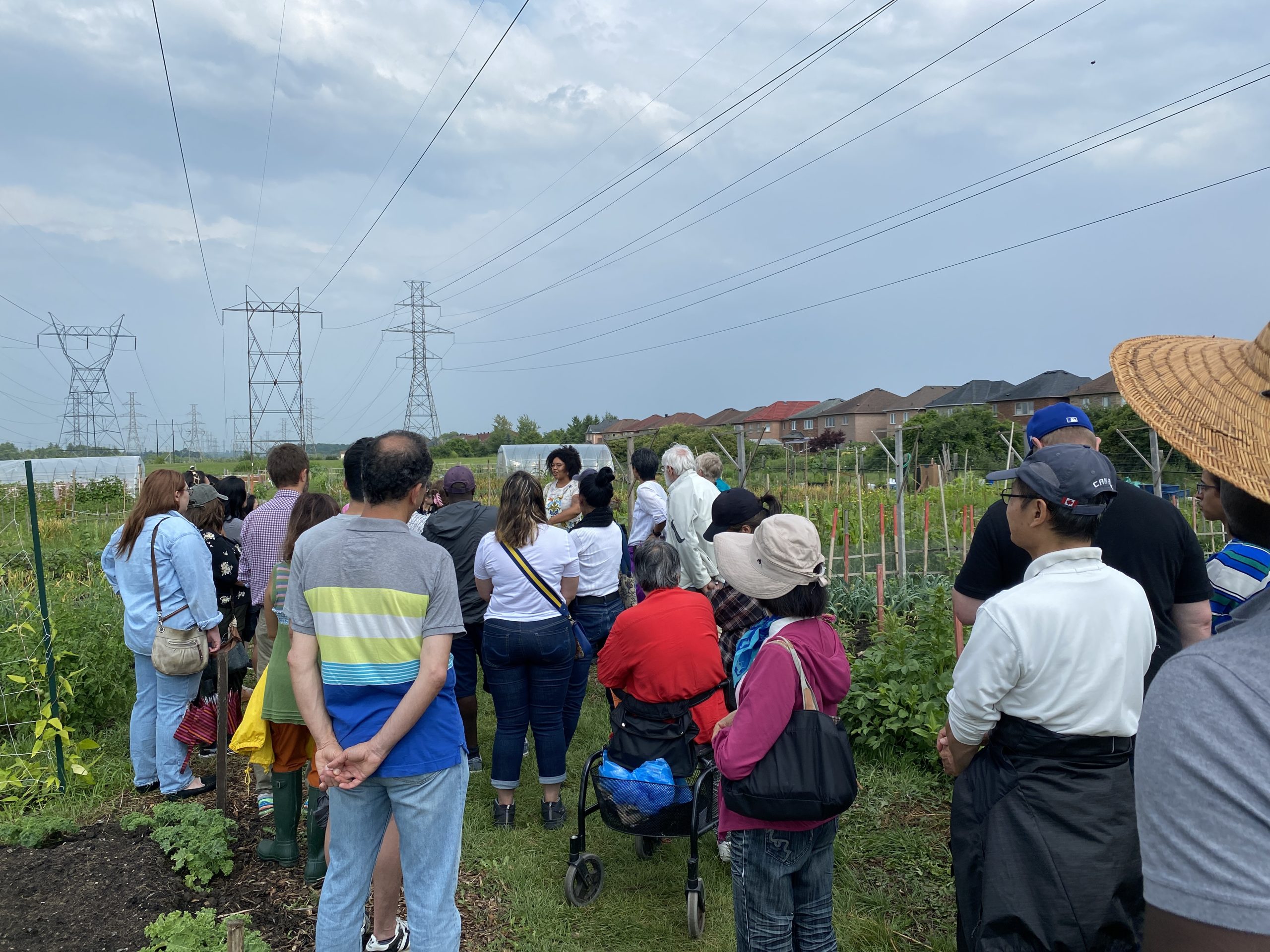 Malvern Urban Farm Tour