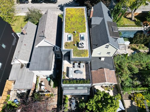Photo of a green roof on a single family residence