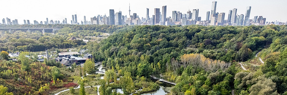 A bird's eye view of a forested area with the Toronto skyline in the background.