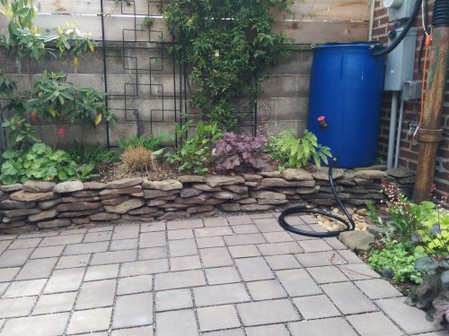 Photo of a rain barrel