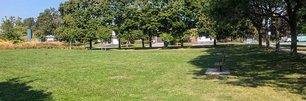 A grassy open space with several trees providing shade along the right side of the area. The open field is bordered by a sidewalk and a road on the right, with additional greenery and some buildings visible in the background under a clear blue sky.