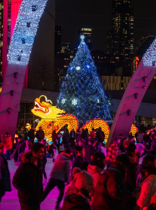 Dragon holiday lights.