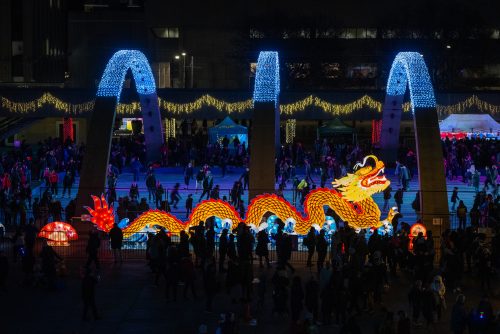 Dragon holiday lights.