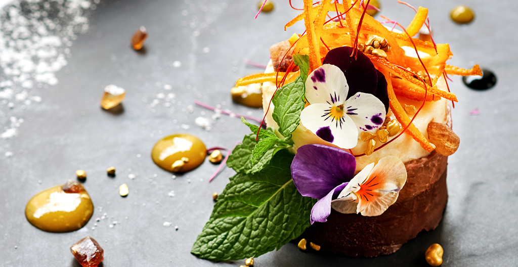 Vibrant Winterlicious 2026: Beat The Cold With These 240 Restaurant Deals In Toronto Background Photography Vibrant Winterlicious 2026: Beat The Cold With These 240 Restaurant Deals In Toronto Background Photography