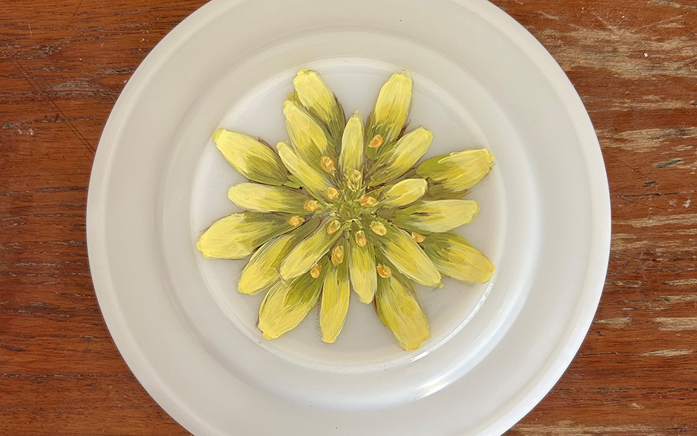 Painting of yellow flower on a white porcelain dinner plate